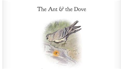  The Dove and the Ant! A Peek into 13th-Century Persian Storytelling